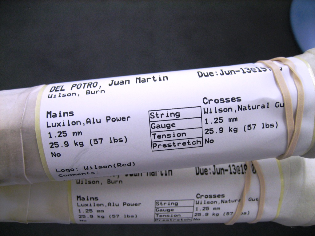 JuanMartinDelPotroRacket05.jpg